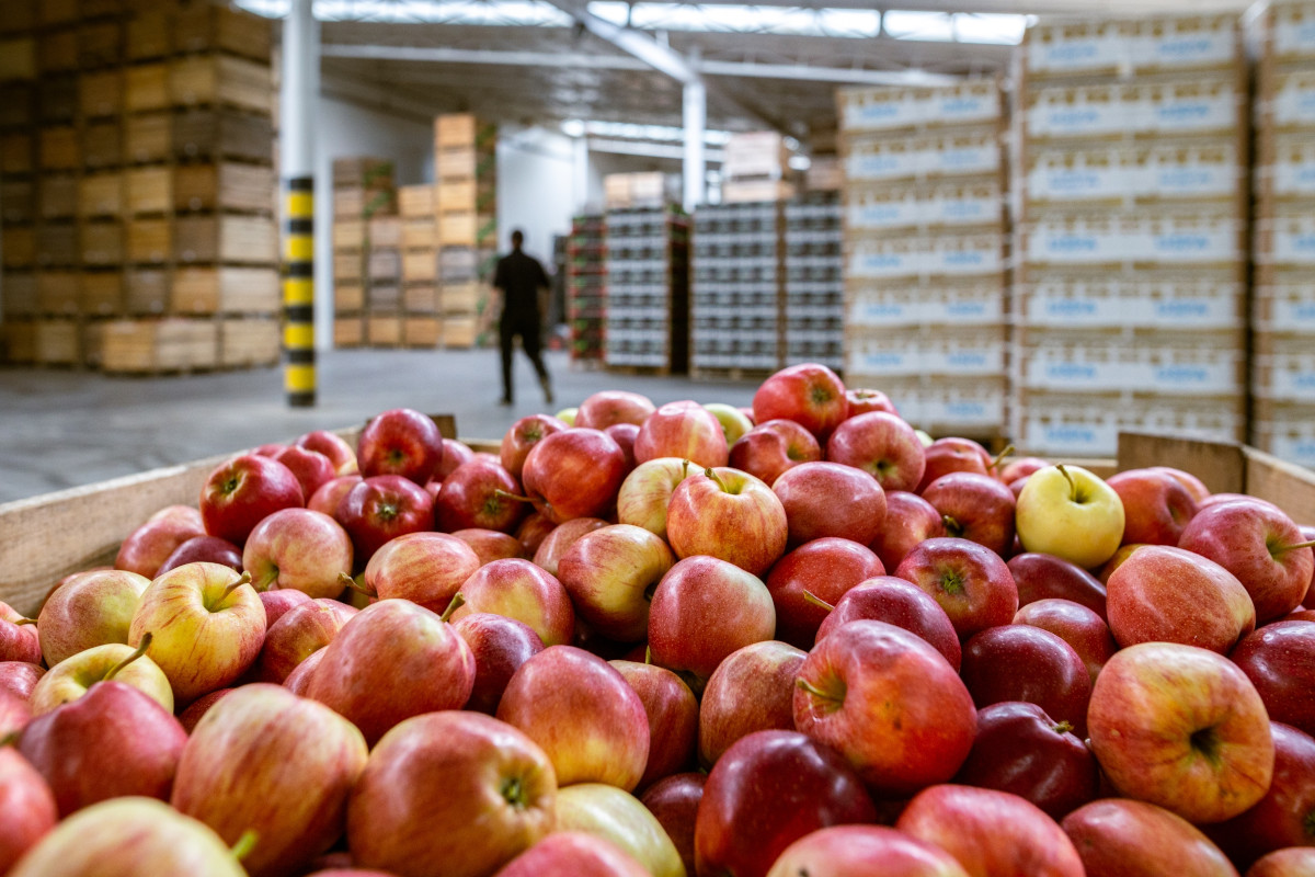 Export alimentare italiano al top: è record nei primi otto mesi del 2023