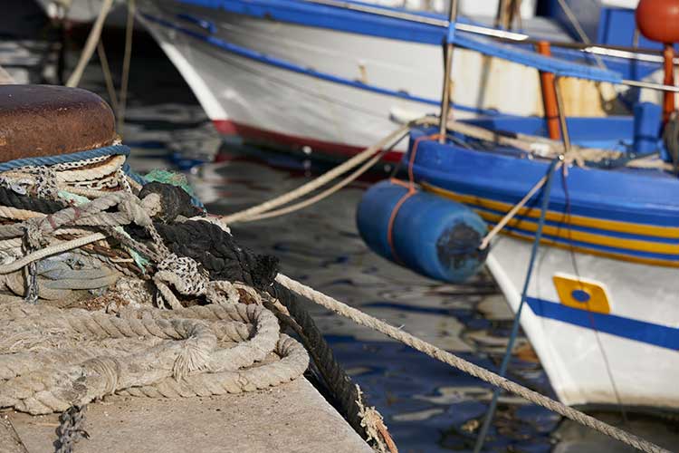 Un blocco che va aggiunto a quello imposto dall'Ue e mette a dura prova le aziende