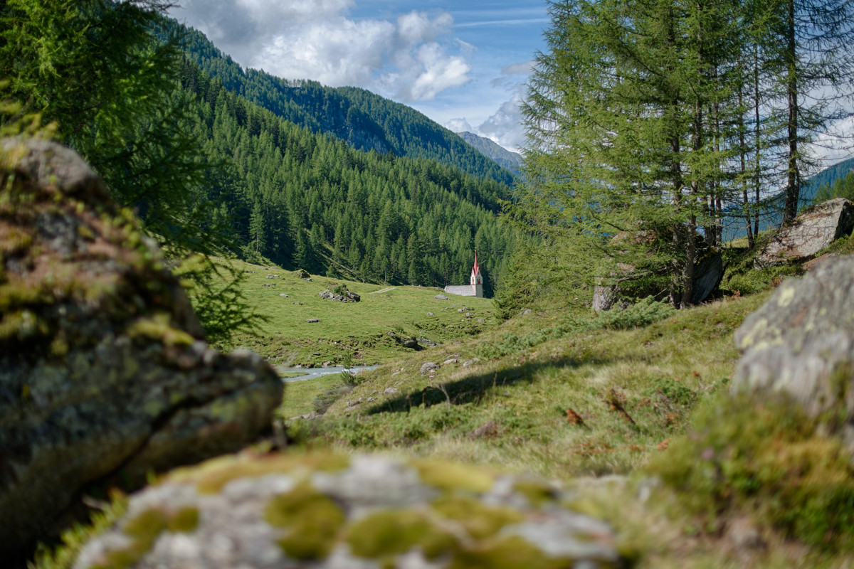 Festival del Formaggio: date e programma dell'evento in Valle Aurina