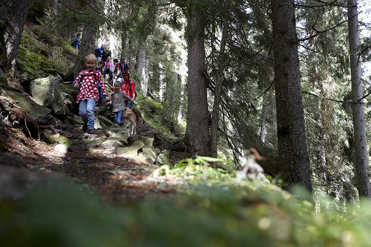 (Feuerstein Nature Family Resort Soggiorno su misura per famiglie)