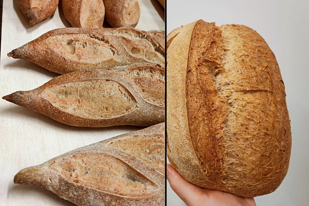 Il pane al Filonificio di Ferrara 