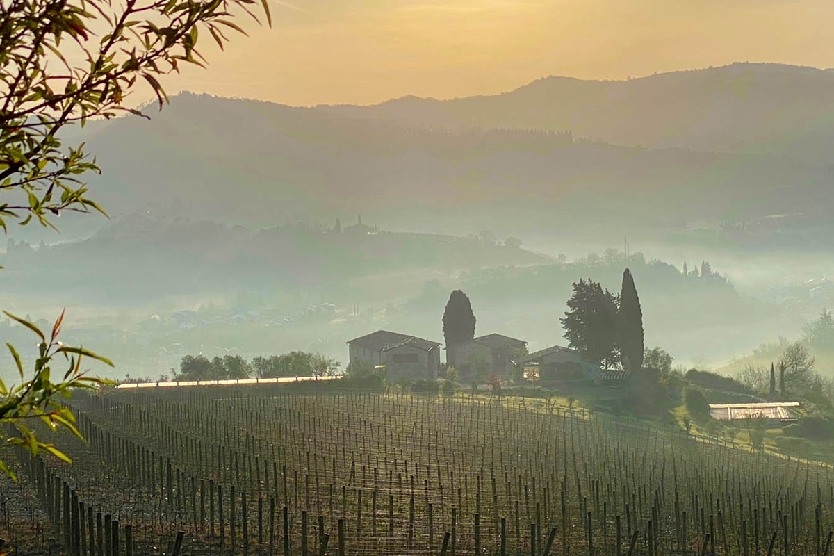 Tenute del Cabreo Vino, ma ora anche ristorazione (e un libro di ricette): i Folonari, un vulcano di accoglienza