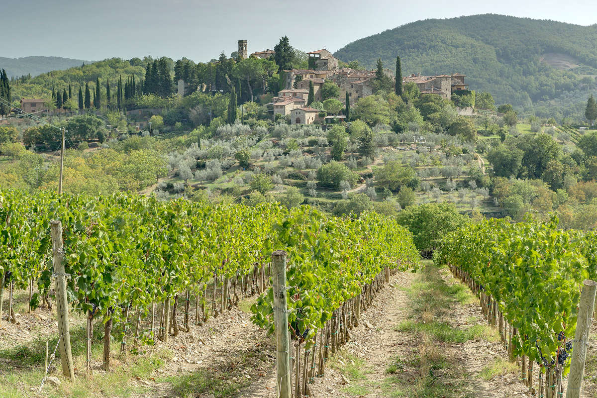 Non solo Sangiovese: tante novità per la Toscana del vino