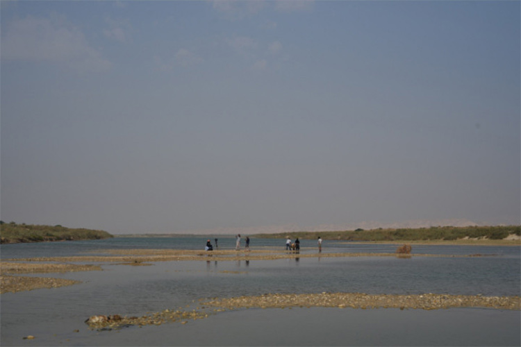 (Food Film Fest 2018 Cinque i titoli premiati)