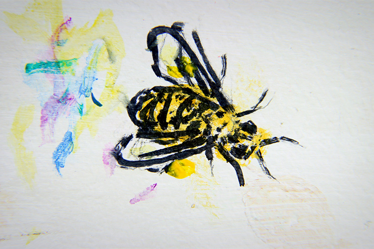 (Food Film Fest 2018 Cinque i titoli premiati)