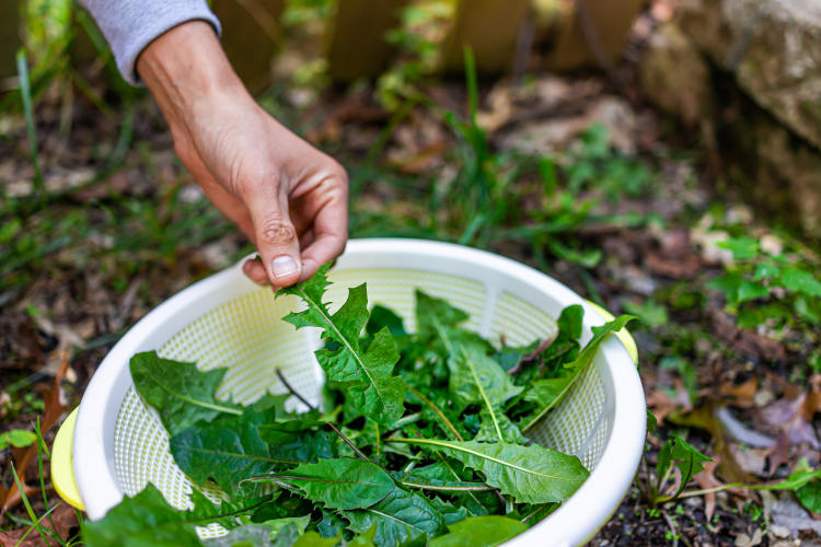 I nuovi food trend del 2021: 8 nuove tendenze legate al cibo