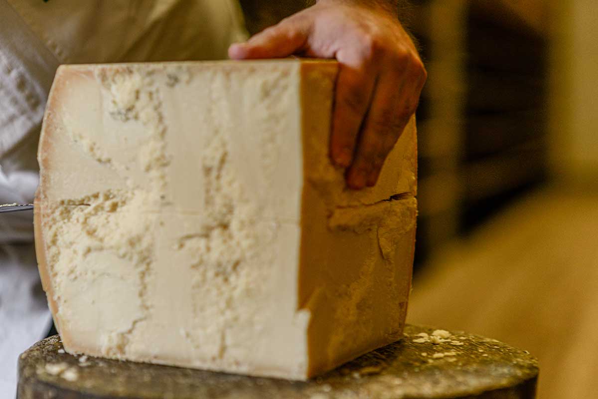 Dopo 4 anni di lavoro, in arrivo il software per una produzione sostenibile del formaggio Dop Produzioni sempre più sostenibili grazie allo studio promosso da Grana Padano Dop