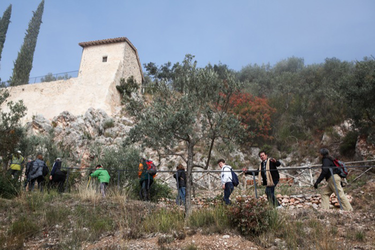 Passeggiata tra gli ulivi a Trevi (Con Frantoi aperti l’Umbria riscopre le vie dell’olio)