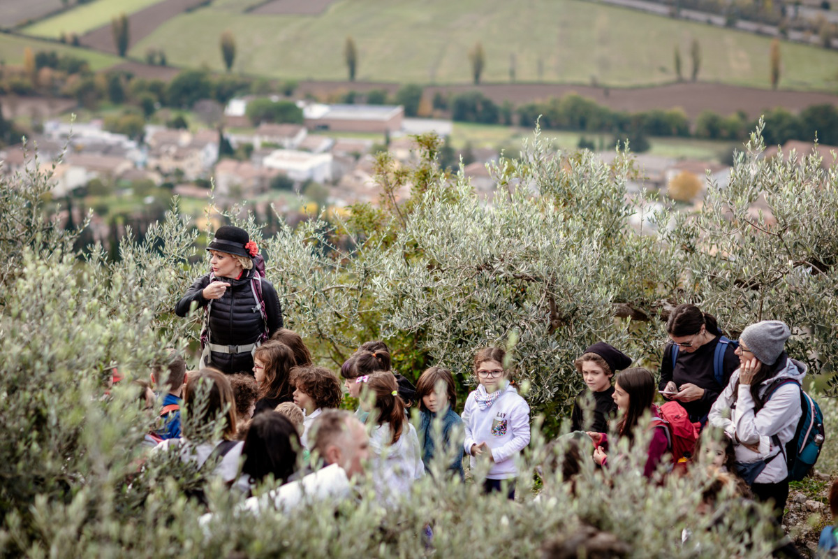 Torna Frantoi Aperti in Umbria per un autunno al sapore di olio