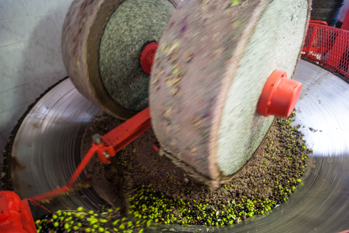 Un frantoio. L'olio deve fare i conti con costi di produzione quintuplicati  Caro energia, costi quintuplicati: l'olio può arrivare a dieci euro al litro