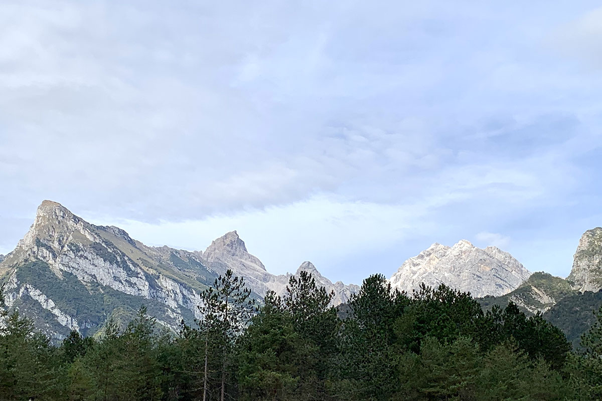 Tipicità e natura: tutta la qualità del “made in Friuli Venezia Giulia”