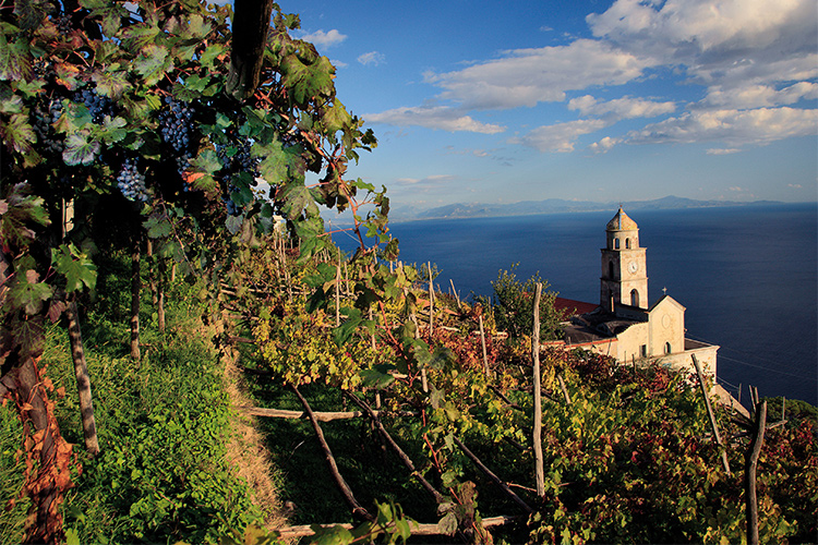 (Al Fiorduva di Marisa Cuomo il platino di Decanter)