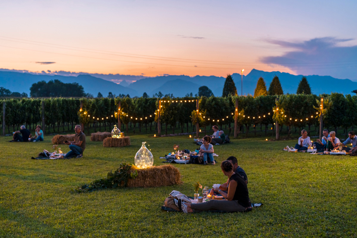 Eventi ad hoc per scoprire il territorio Friuli Venezia Giulia, cibo e vino portano a spasso i turisti Eventi ad hoc per scoprire il territorio Friuli Venezia Giulia, cibo e vino portano a spasso i turisti