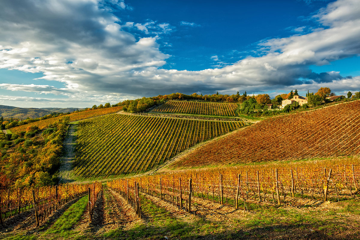 Con le Uga, il Chianti Classico Gran Selezione si fa in undici