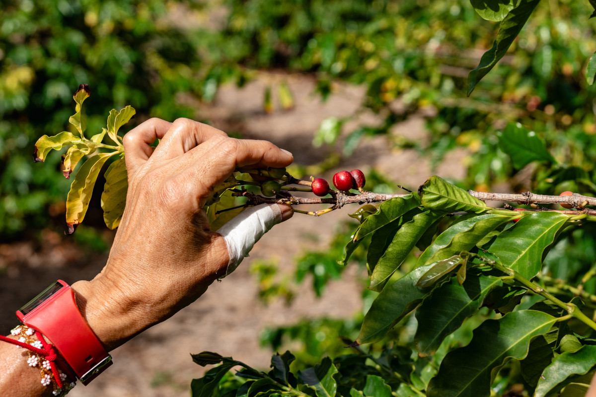 Spenderesti 50 euro per un caffè? Ad Aosta c’è un buon motivo per farlo 