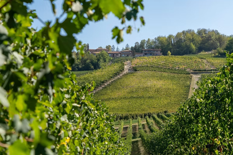 Giacomo Fenocchio: il presente e il passato del Barolo e delle Langhe
