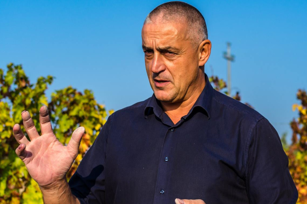 Sorpresa Fivi, dietrofront di Casali: in Consiglio entra Morino Sorpresa Fivi, dietrofront di Casali: in Consiglio entra Morino