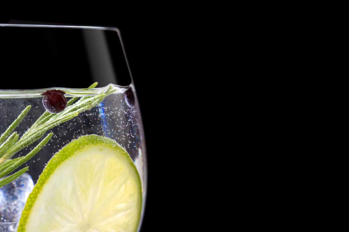 La strana storia del Gin Tonic: da cura anti-malaria a simbolo del dopocena