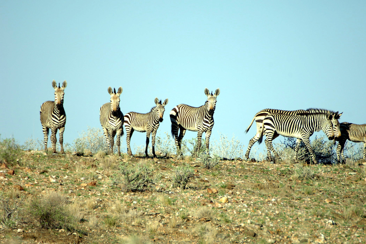 Namibia - Rooisand Desert Ranch Il giro del mondo outdoor è possibile. Ecco qualche idea