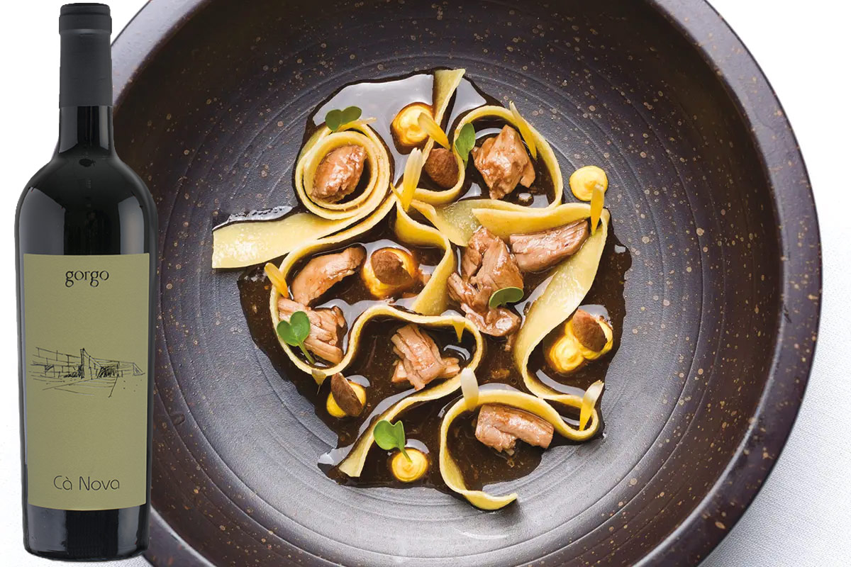 £$L’Italia del vino$£: tre grandi rossi veronesi a base di Corvina £$L’Italia del vino$£: tre grandi rossi veronesi a base di Corvina