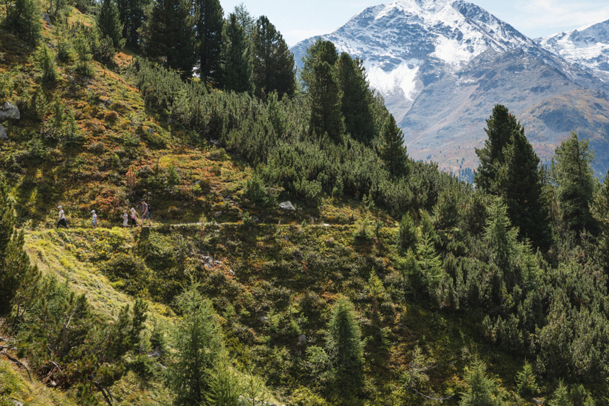 L’autunno in Engadina tra boschi dorati e il via allo sci