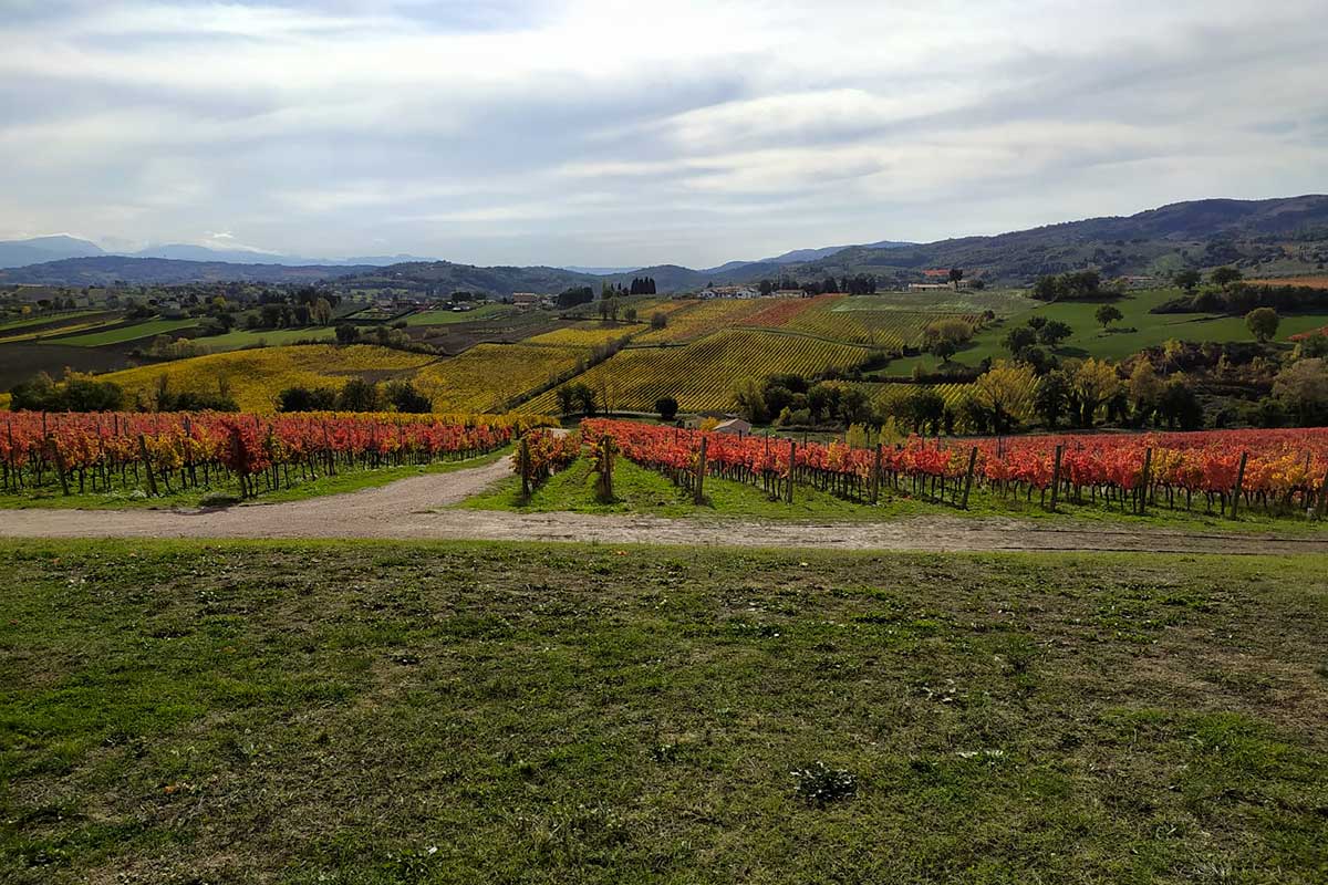 I vigneti del Sagrantino in Bevagna Perugia, La Rosetta è Ristorante Regionale-Cucina Doc