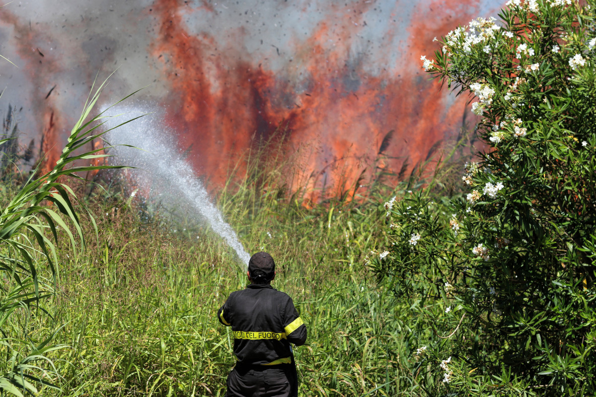 Incendi in Sardegna, c'è la mano dell'uomo. Aziende in fiamme e persone evacuate