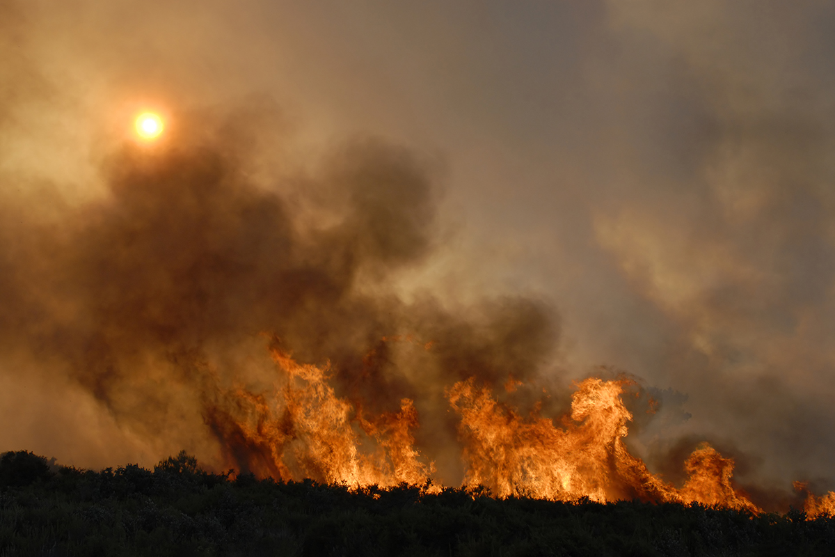 Caldo e siccità: incendi triplicati nel 2022, a fuoco 16mila ettari