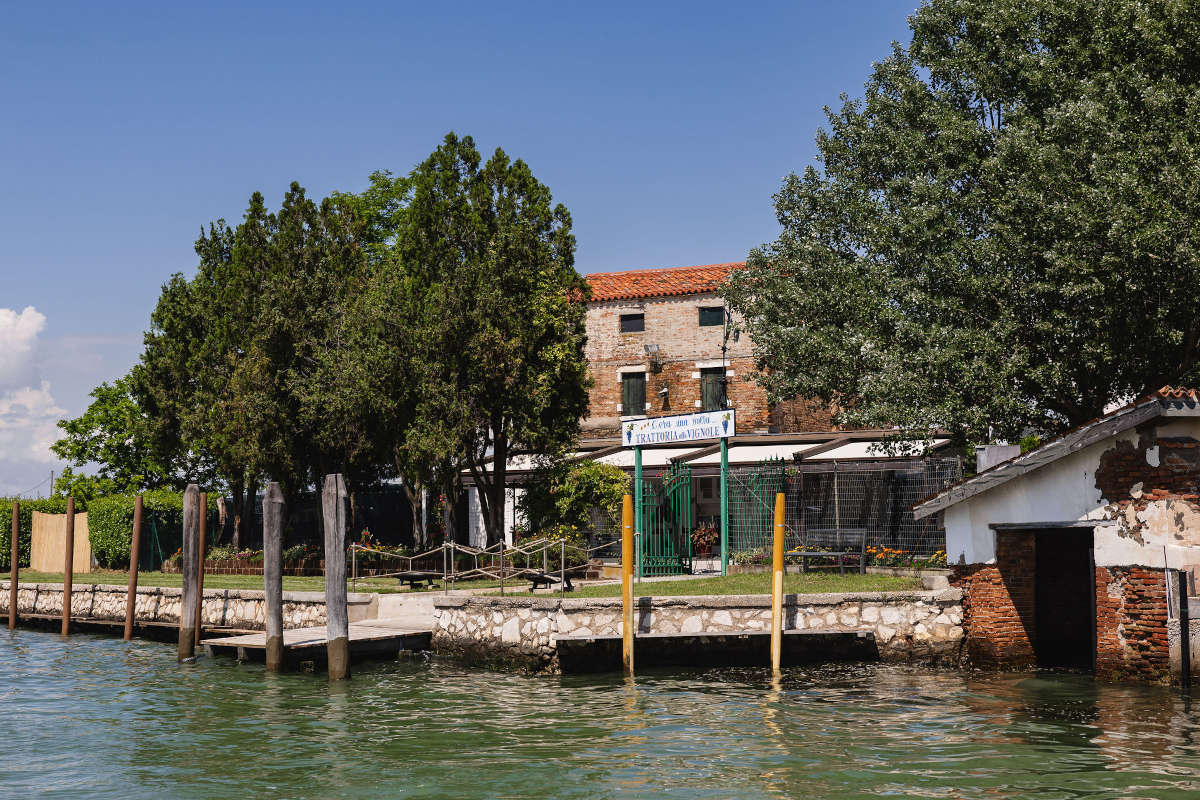 A Venezia due ettari di uva Dorona negli spazi dell’ex trattoria Le Vignole