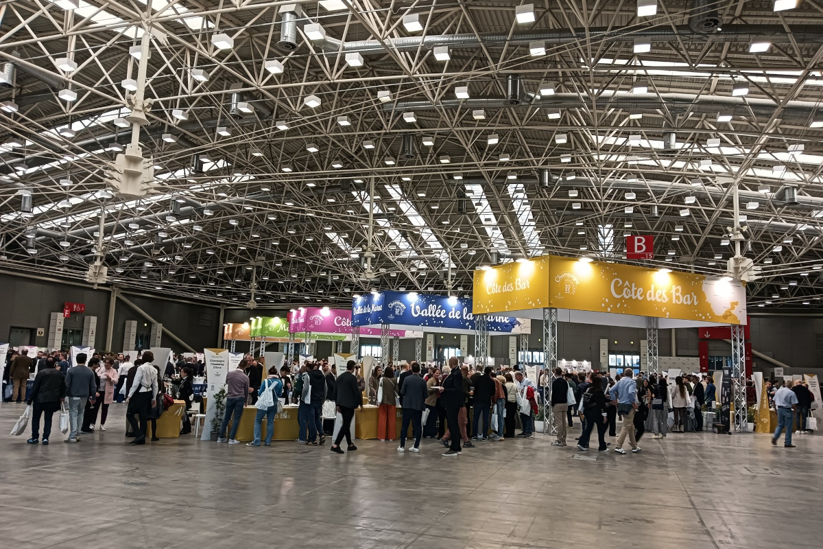 Il vino che cammina piano: appunti di un flâneur tra Champagne, Franciacorta e Marsala