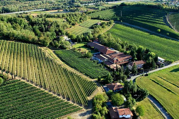 Jermann vista dall'alto  Antinori punta su Jermann per essere più forte con i vini bianchi