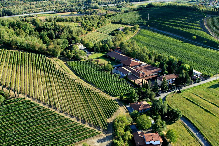 Villanova di Farra d'Isonzo - Marchesi Antinori a Nord Est Acquisita la cantina Jermann