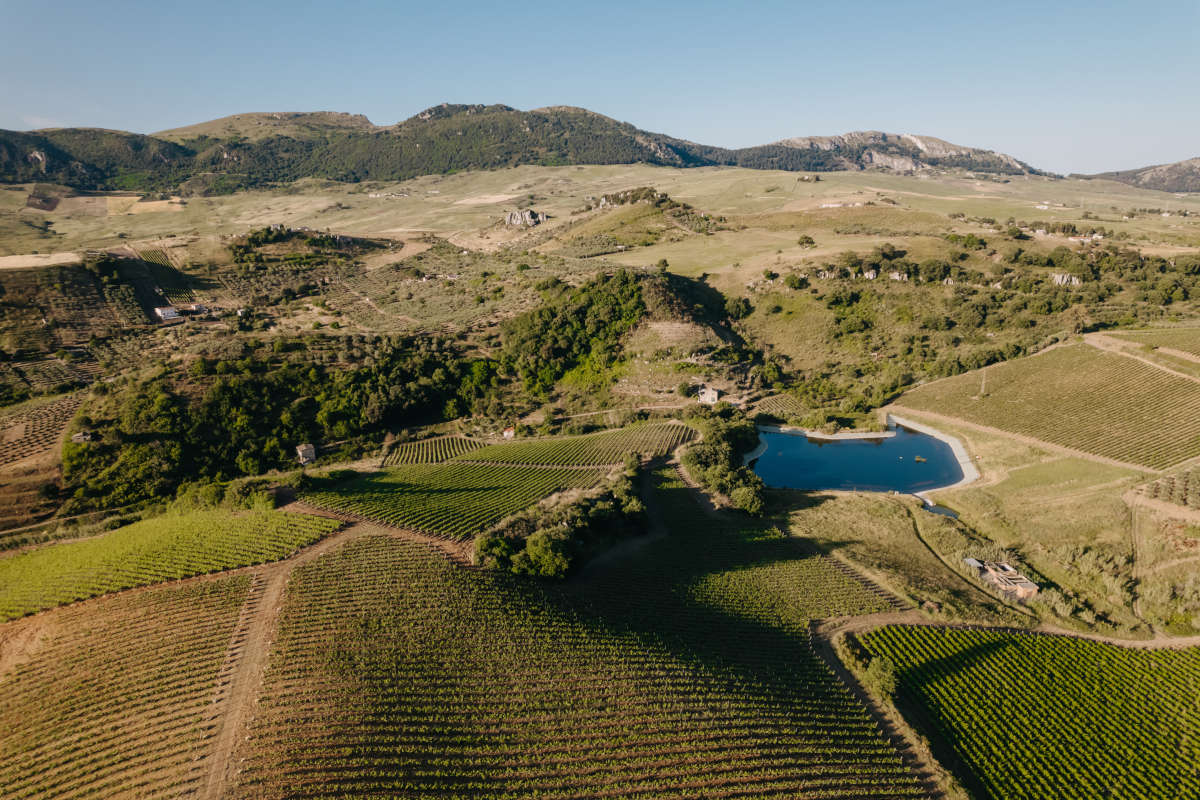 Il territorio di montagna siciliano nei “vini d'altura” di Baglio di Pianetto