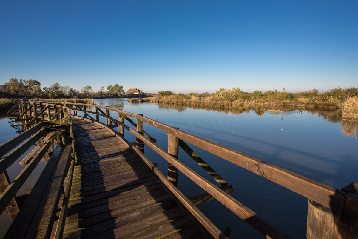 Passerelle in legno nella Laguna di Marao (foto crivellari) Lignano Sabbiadoro fuori stagione al ritmo lento della natura