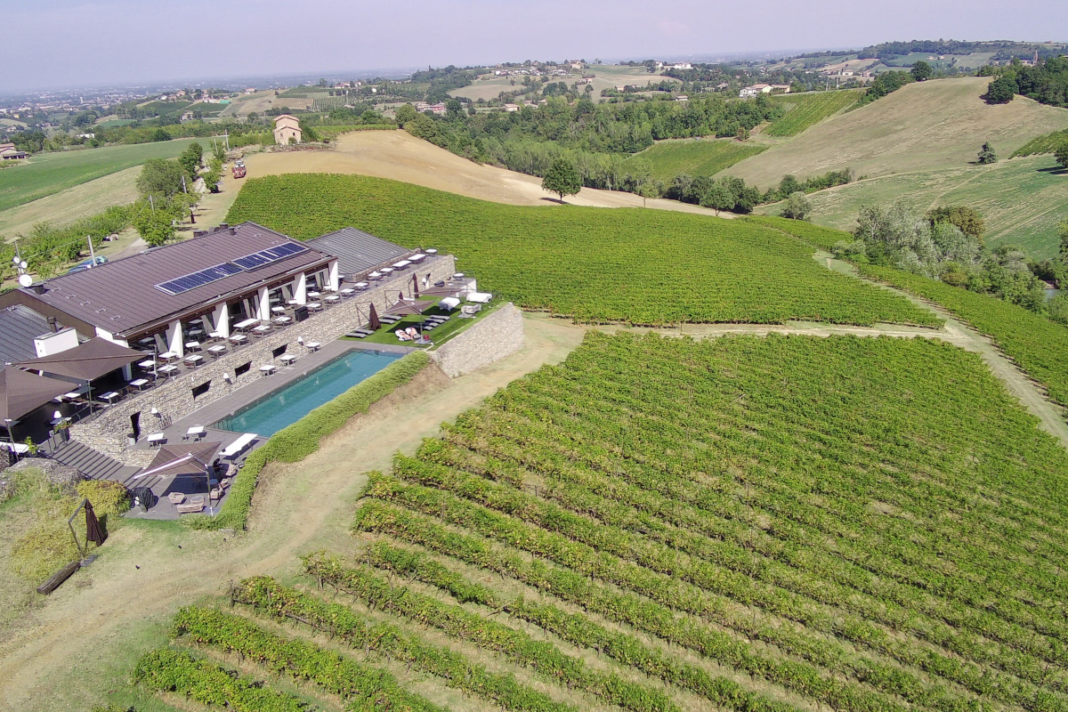 Modena e il vino: viaggio in quattro cantine dove nasce il Lambrusco