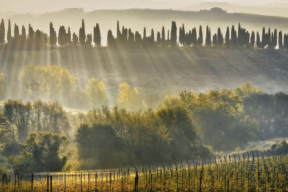 Con le Uga, il Chianti Classico Gran Selezione si fa in undici