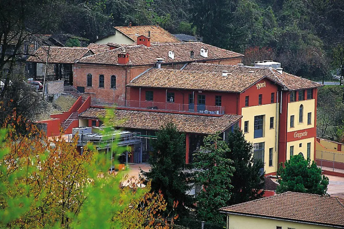 Mafalda, dalla leggenda al bicchiere: l’Oltrepò pavese si scopre (anche) terra di gin
