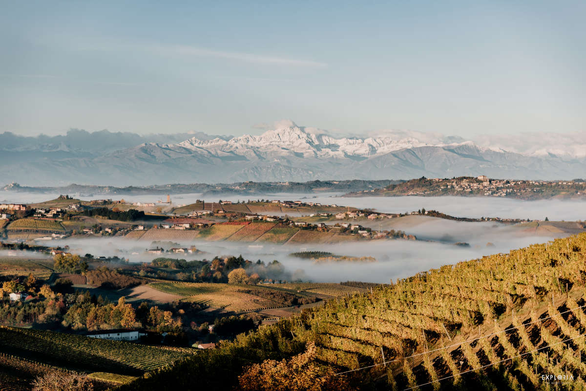 Asti Docg, vini unici in un territorio patrimonio dell'Unesco