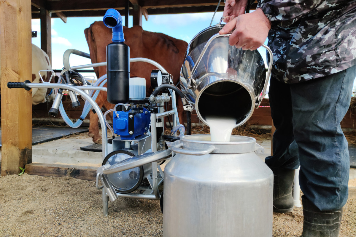 I rincari del gas mettono a rischio il formaggio made in Italy