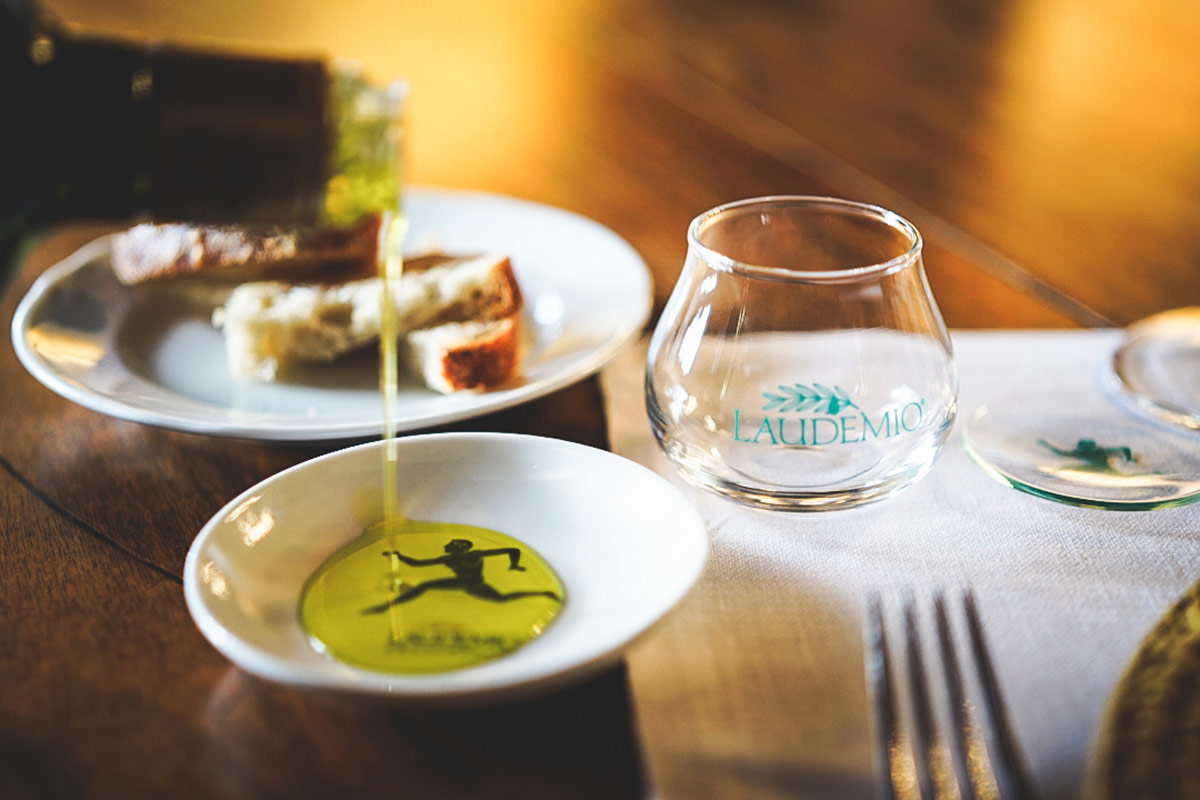 Perché il Laudemio è tra gli extravergini più ricercati del mondo