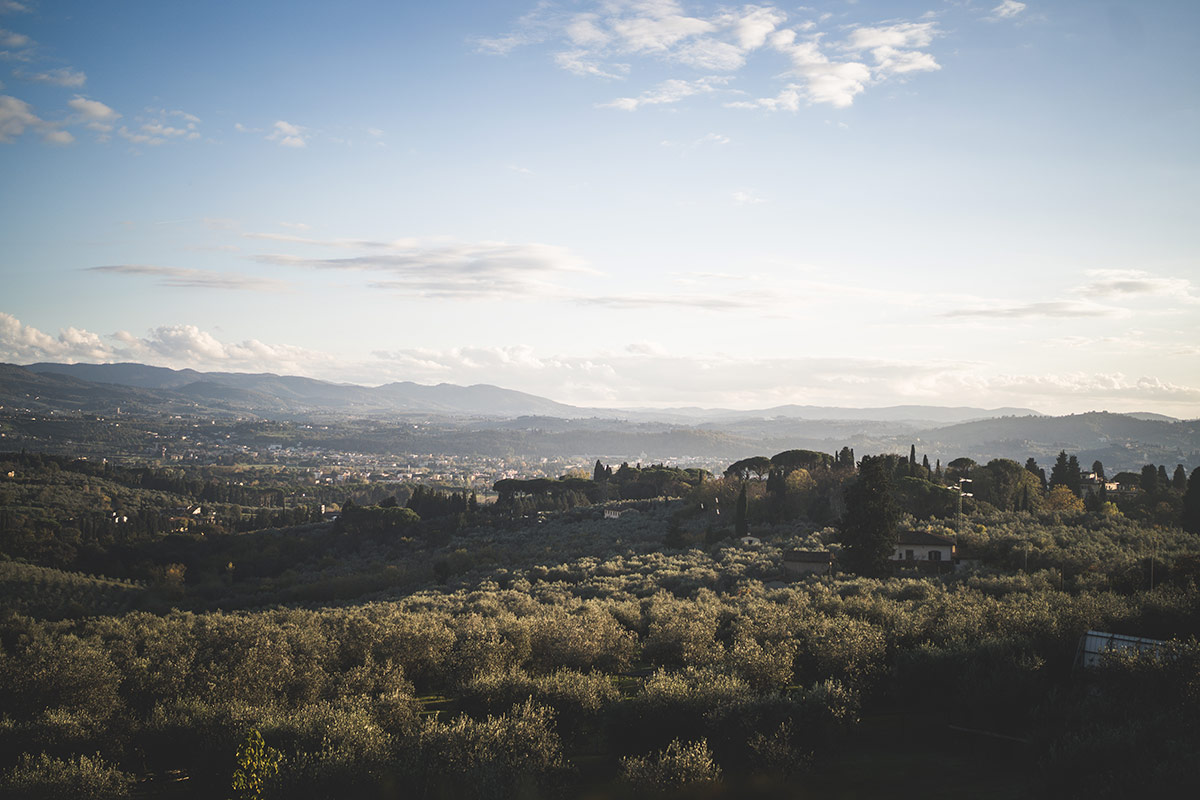 Perché il Laudemio è tra gli extravergini più ricercati del mondo
