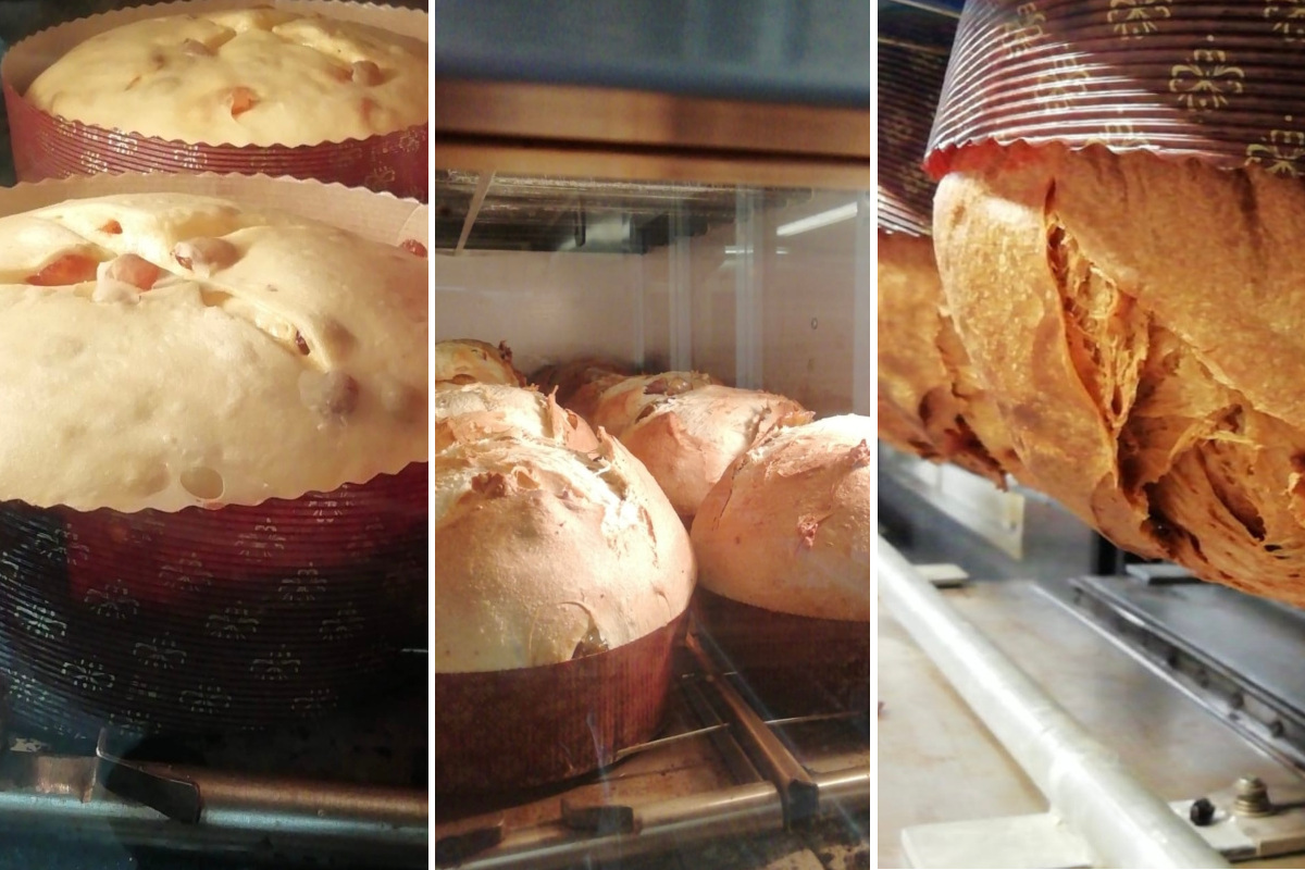 Natale 2025: Svmposivm, il panettone più stiloso di tutti celebra cinque anni di made in Italy