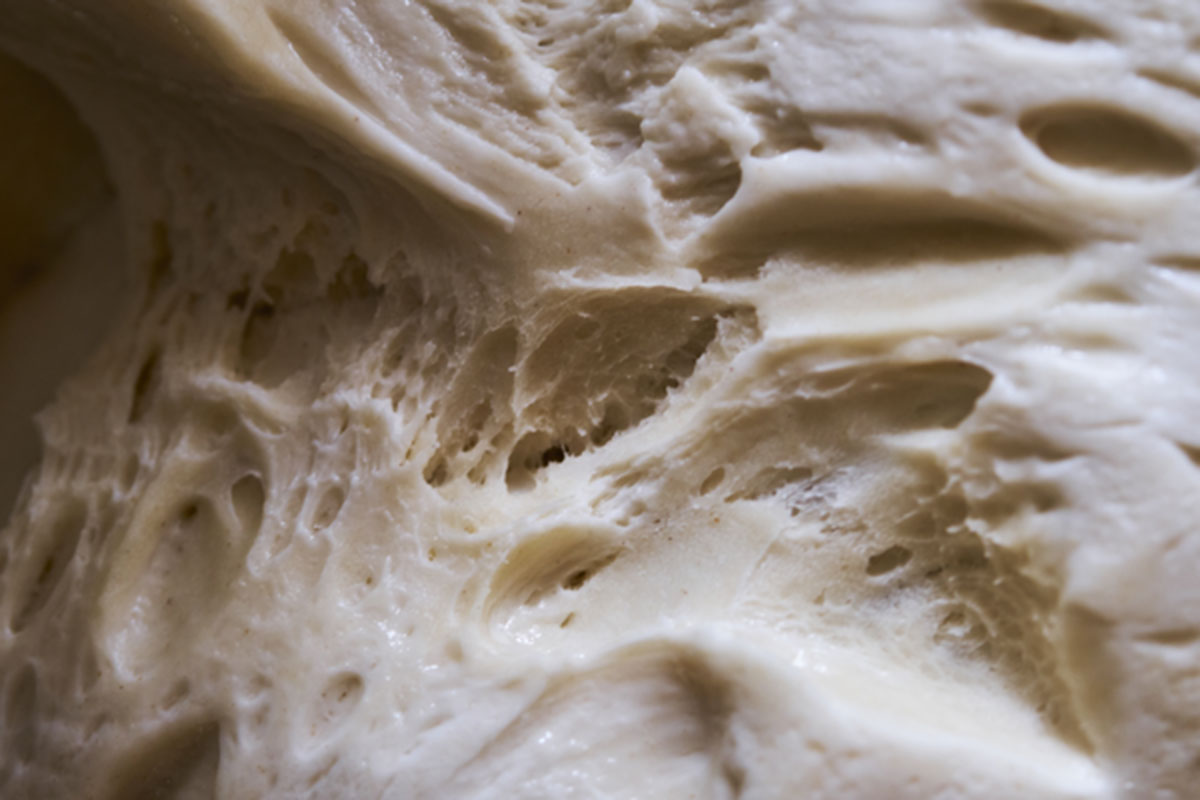 Il futuro della panificazione e il ruolo chiave del lievito madre da rinfresco