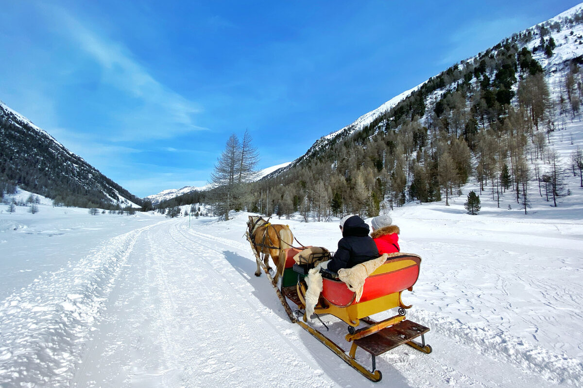 Con la slitta trainata dai cavalli tra le nevi di Livigno Terme, avventure e passeggiate: com'&egrave; romantica la Valtellina a San Valentino