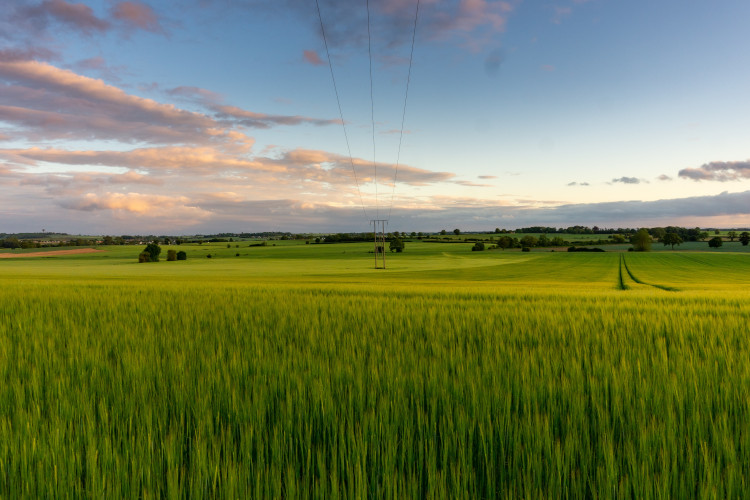 Il Lodigiano, un percorso tra gusto e tradizione da fare... online