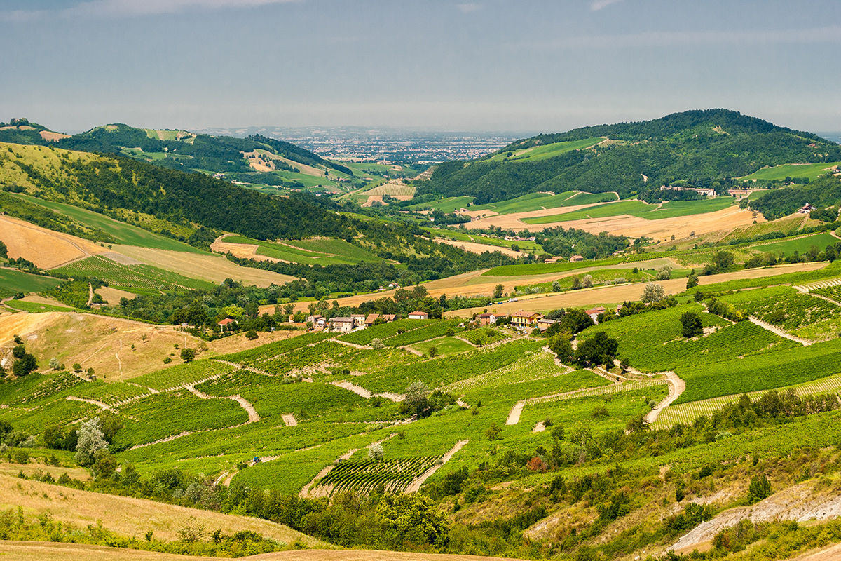 Colline dell'Oltrepò, una delle culle del vino lombardo  Digitale, innovativo, internazionale: il vino lombardo pronto a correre dopo il Covid