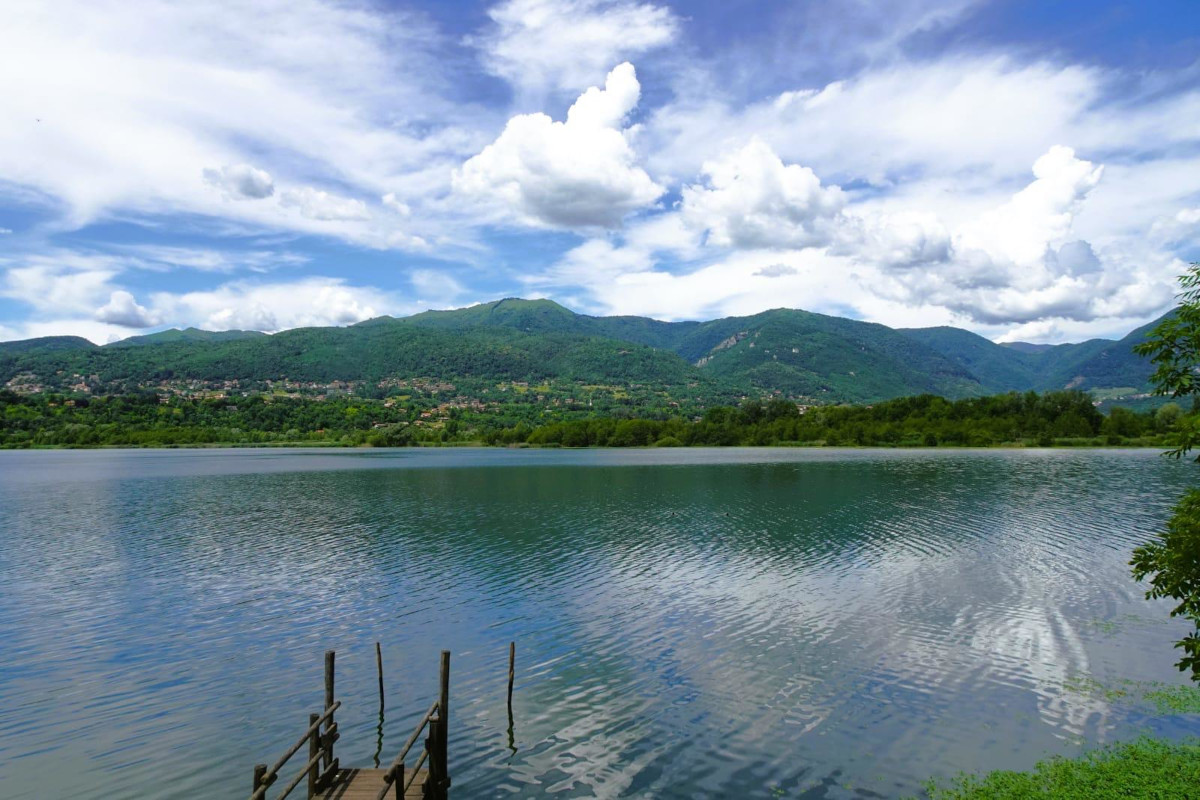 Mais rostrato di Alserio: un tesoro ritrovato tra le sponde del lago comasco