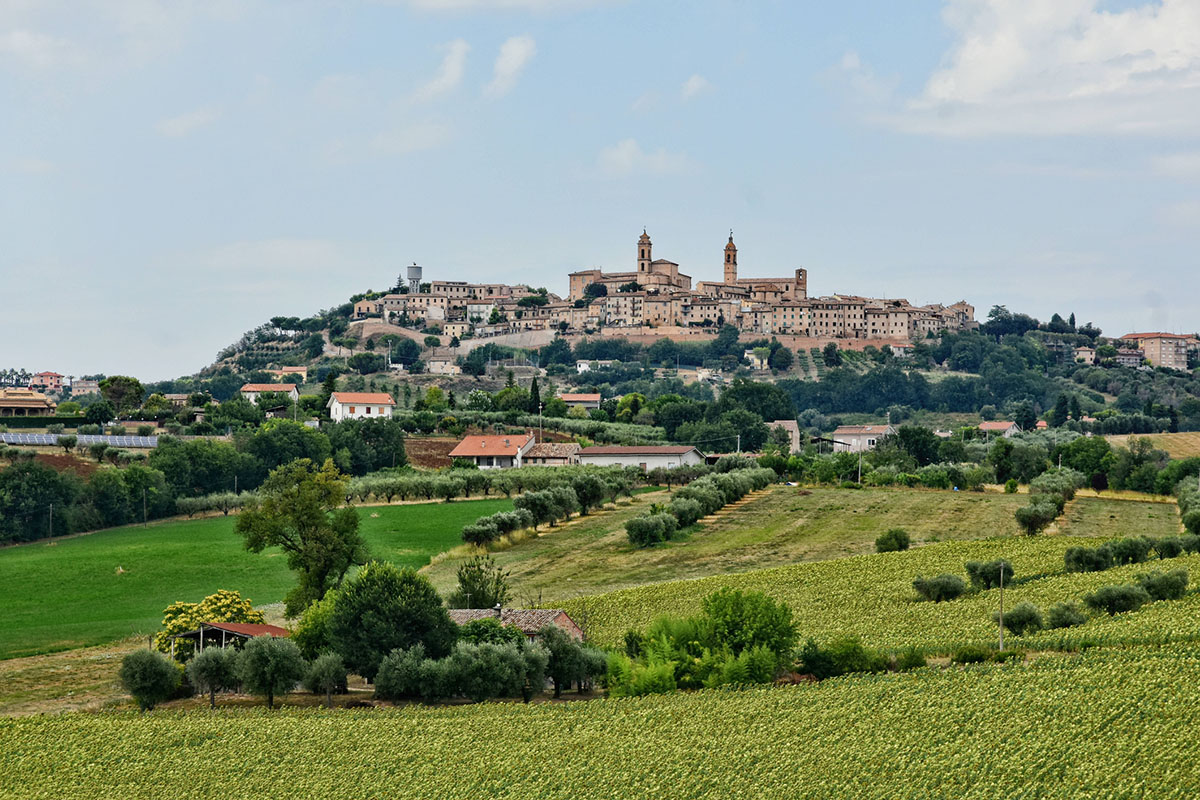 Nelle Marche il mondo agroalimentare rappresenta il 14% del Pil Le Marche puntano all’enoturismo con una normativa dedicata al settore