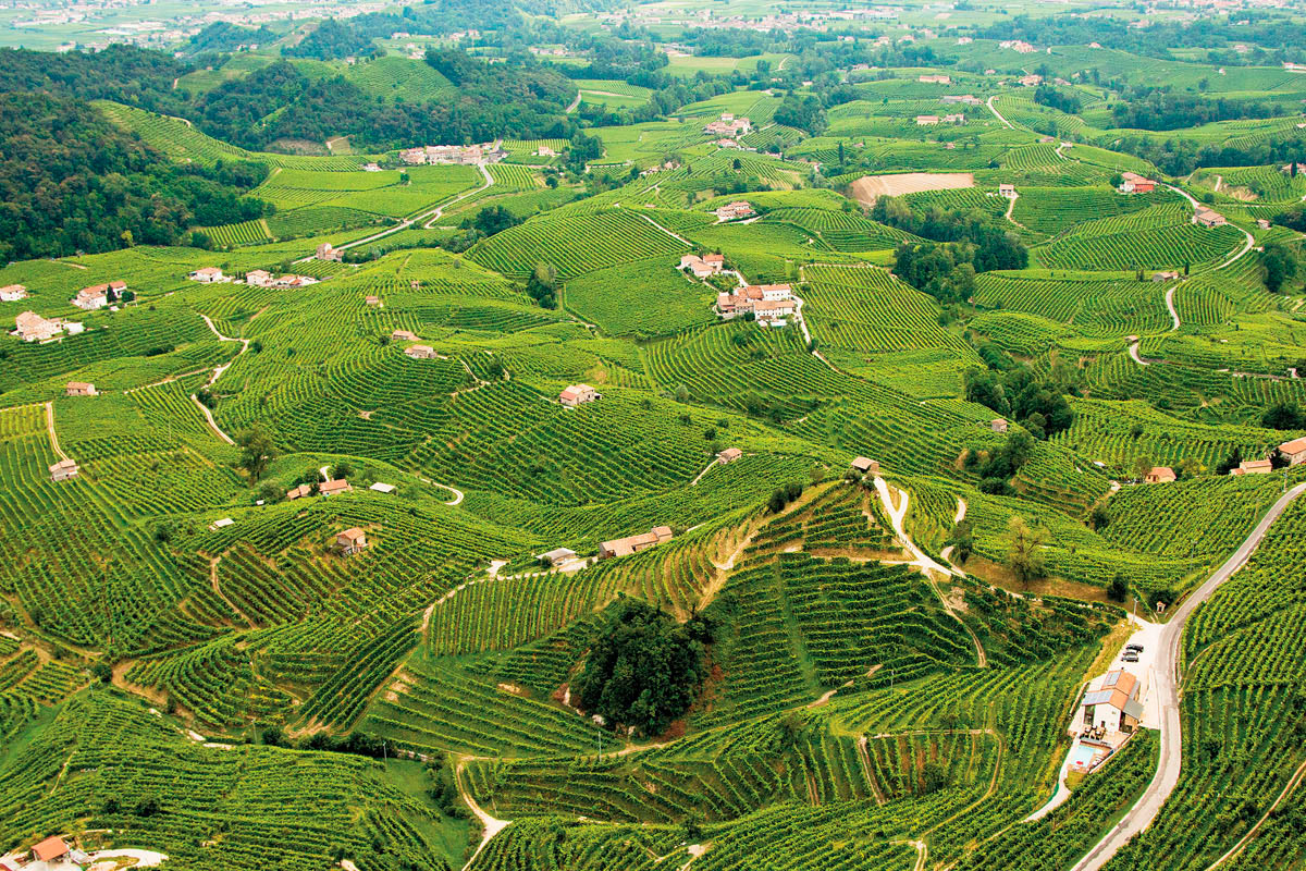 Colline del Prosecco Cartizze Marsuret, esperienza sensoriale