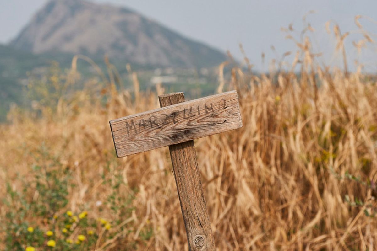 Un nuovo Presidio Slow Food in Campania: benvenuto al grano marzellina